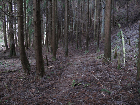 20131124hike (210)